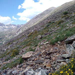 Quandary Peak (55).jpg